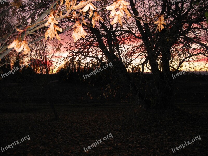 Autumn Fall Colors Landscape Evening Foliage