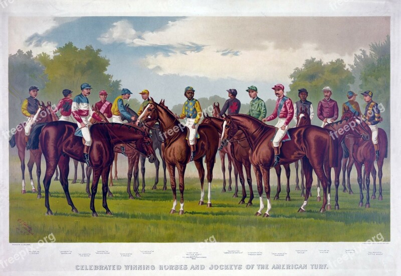 Race Horse Race Horses Horse Horses Jockey