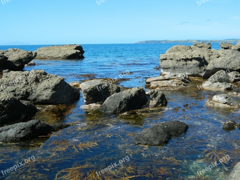 Ocean Sea Beach Rock Pools Nature