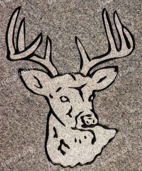 Carving Animal Headstone Symbol Detail