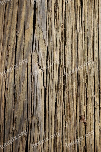 Texture Wood Lines Tan Background