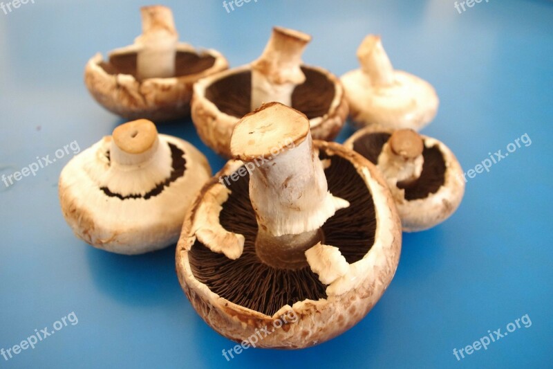 Mushrooms Food Healthy Cook Kitchen