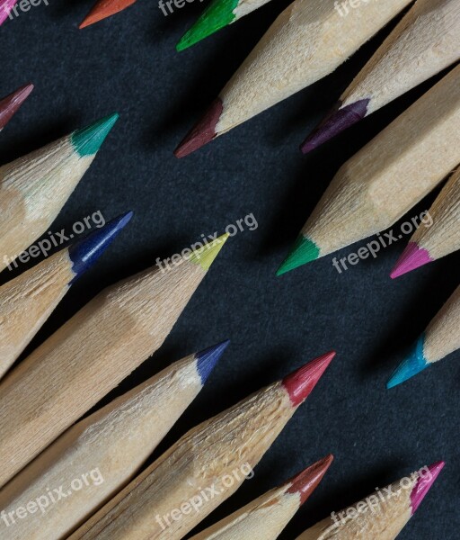 Pencils Colors Lines Wood Forest