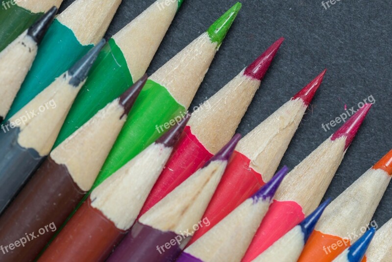 Crayons Colors Lines Wood Forest