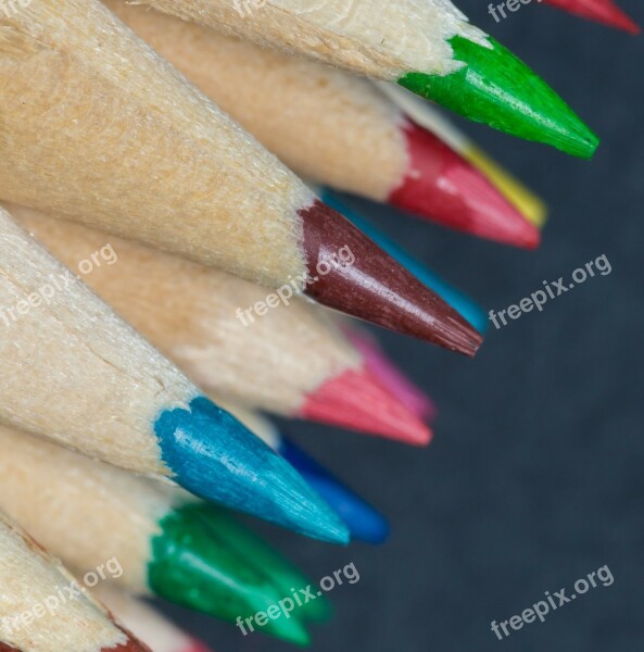 Crayons Colors Lines Wood Forest