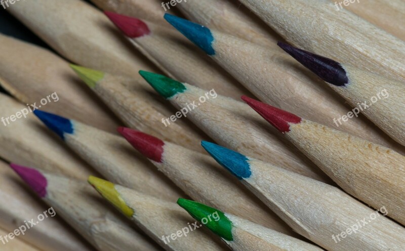 Crayons Colors Lines Wood Forest