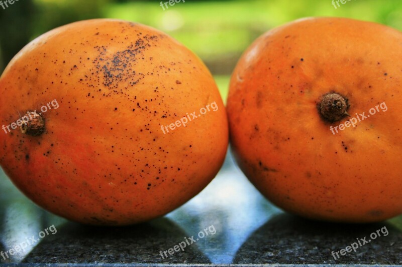 Fruit Mangoes Round Orange Fresh