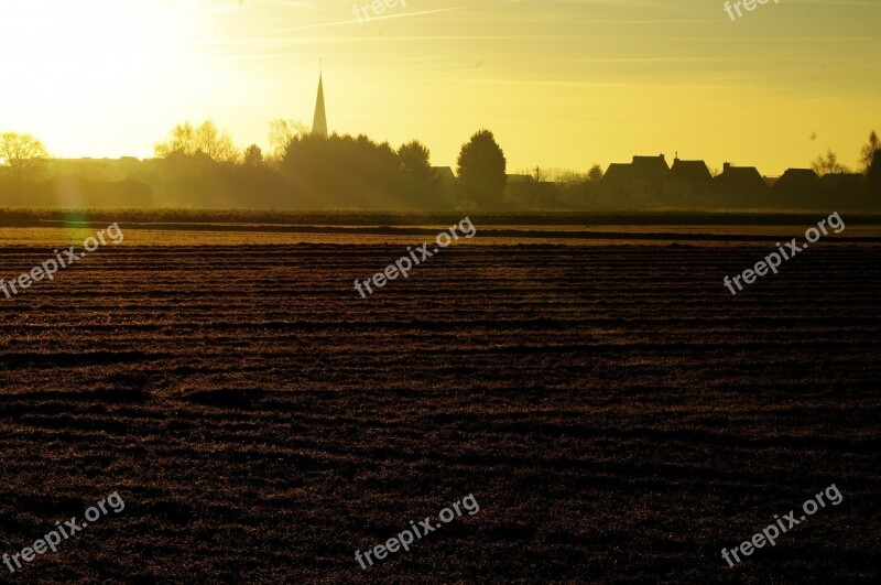 Golden Morning Glory Countryside Field