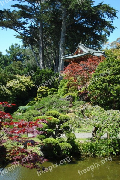 Japanese Garden Garden Trees Green Japanese