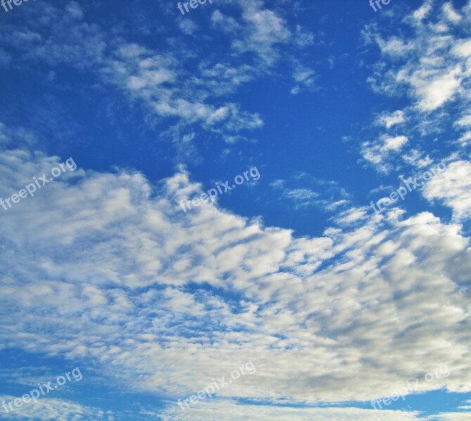 Sky Blue Vivid Cloud Flocky