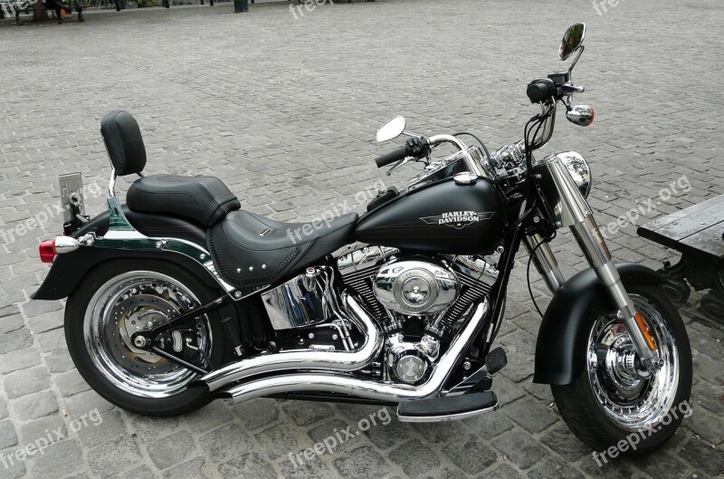 Harley Davidson Fatboy Parked Motorcycle City