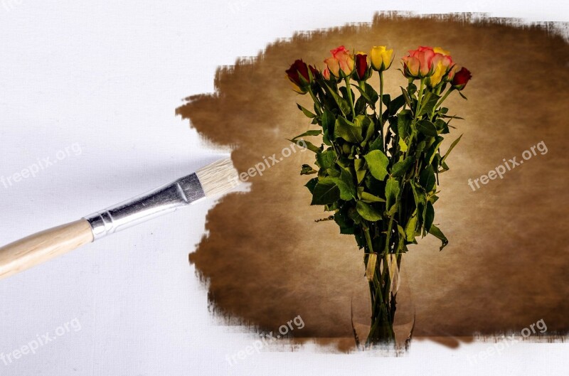 Paintbrush Flower Flowers Wallpaper Rose