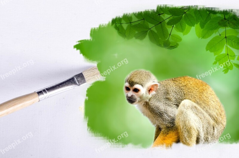 Paintbrush Outdoor Monkey Animals Animal