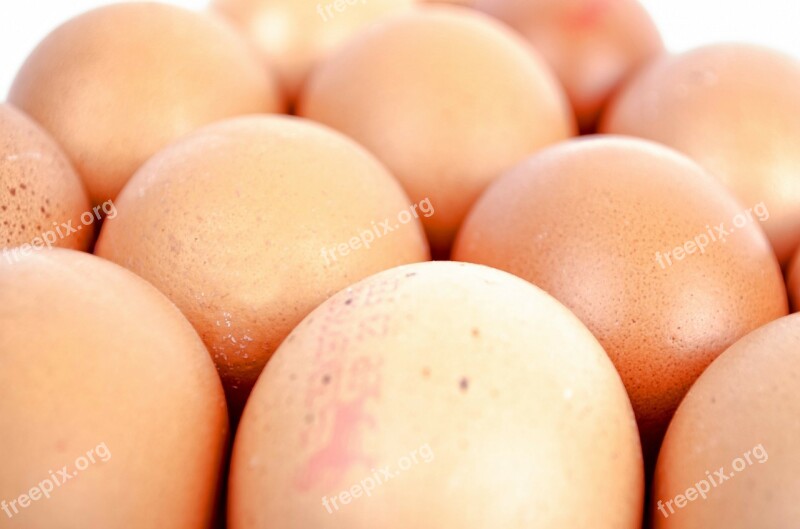 Egg Chicken Oval Food Photography