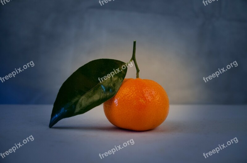 Mandarin Green Leaf Close-up Isolated