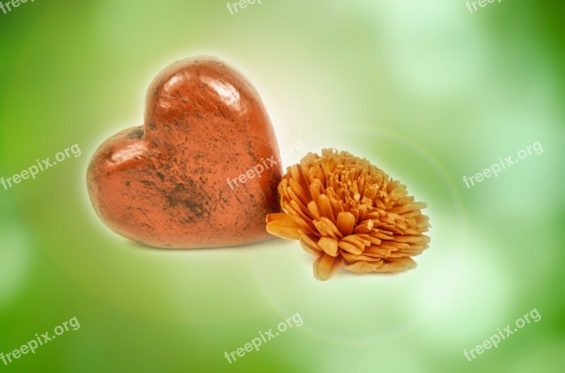 Red Wood Heart Isolated Flowers