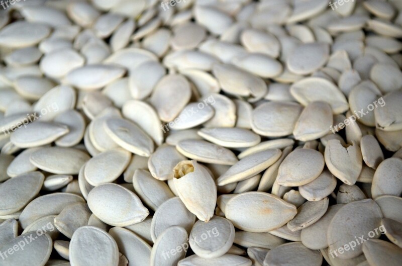 Food Season Pumpkin Pumpkin Seeds Snack