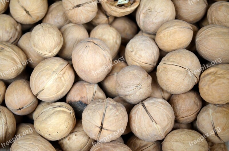 Food Season Walnut Walnuts Nut