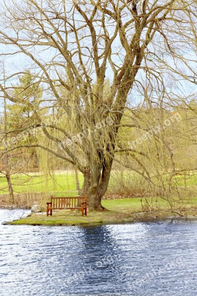 Branch Lake Lakeside Water Seat