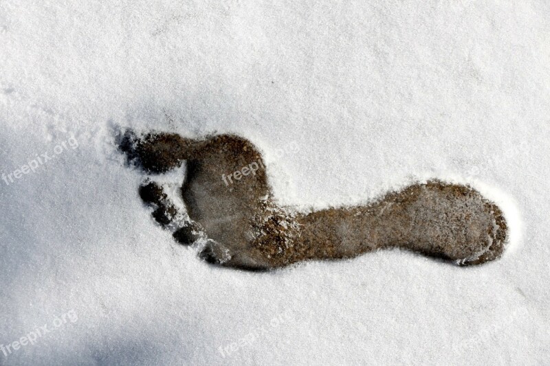 Footprint Bare Foot Foot Outline Snow