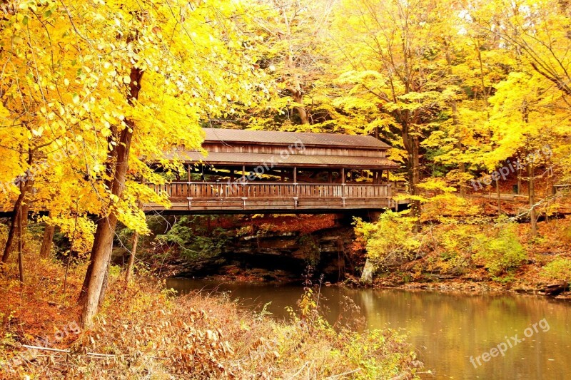 Bridge Covered Bridge Autumn Fall Leaves