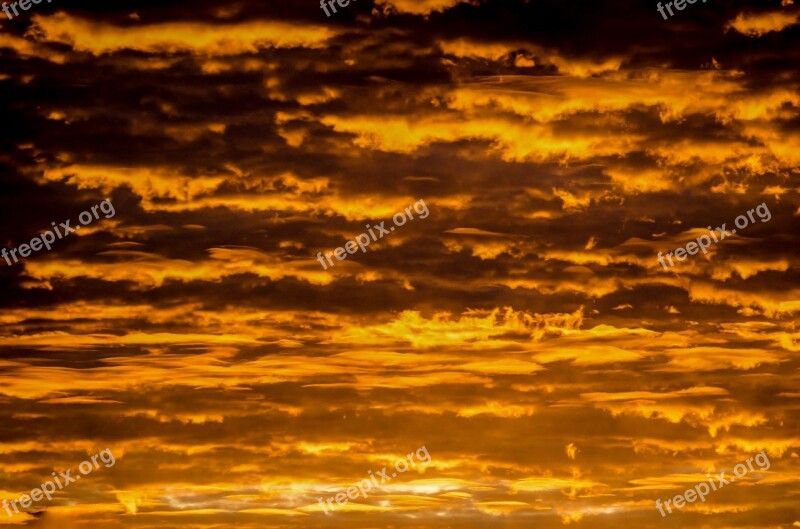 Sky Sunset Summer Gold Pattern