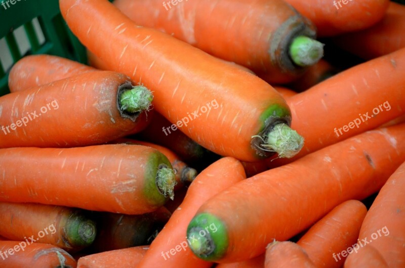 Food Vegetable Carrot Root Plant