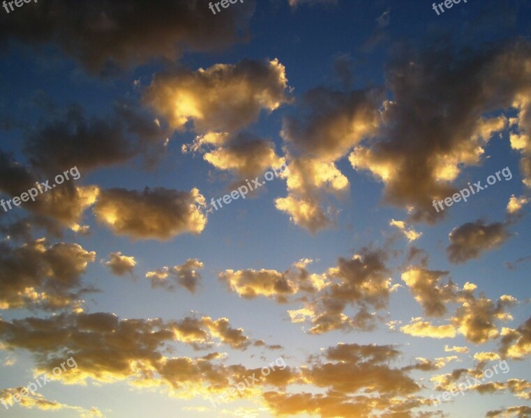 Clouds Loose Scattered Gold Shiny