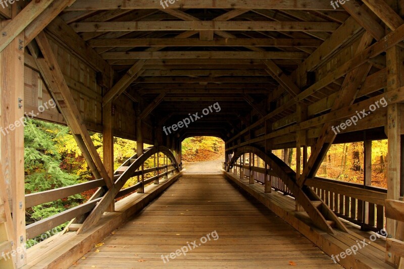 Bridge Covered Bridge Forest Forest View Autumn