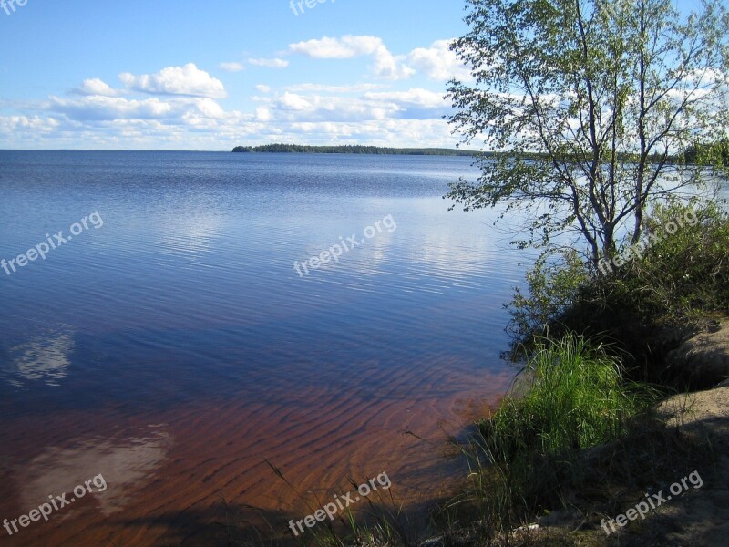 Lake Summer Finnish Summer Vacation Landscape