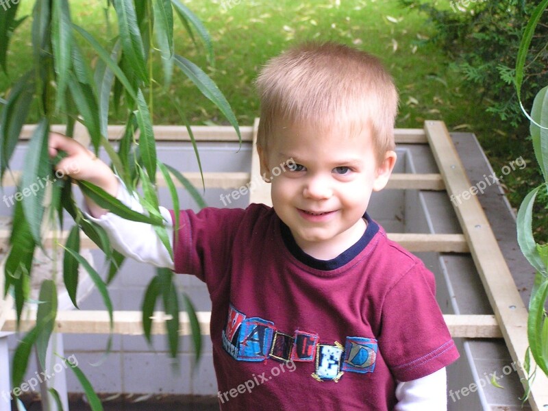 Little Boy Garden Sorry Willow Free Photos