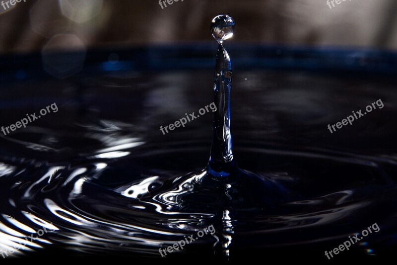 Drip Drop Of Water Close Up Water Free Photos