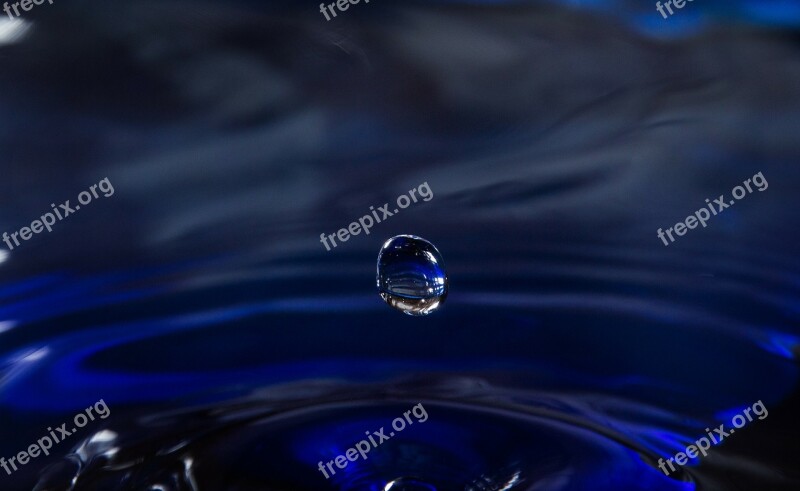 Drip Drop Of Water Close Up Water Free Photos