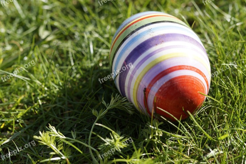 Easter Egg Meadow Spring Easter Bunny Easter