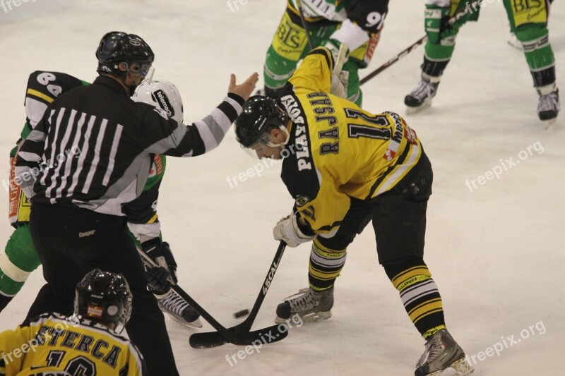 Ice Hockey Hockey Game Ice Puck