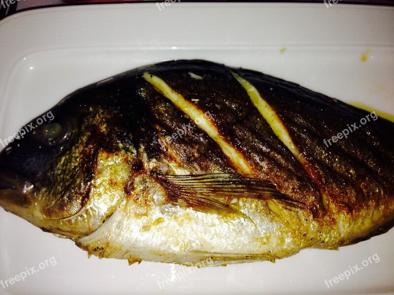 Fish Sea Bream Fried Food Nutrition