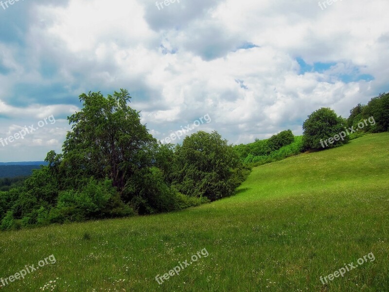 Germany Meadow Landscape Scenic Summer