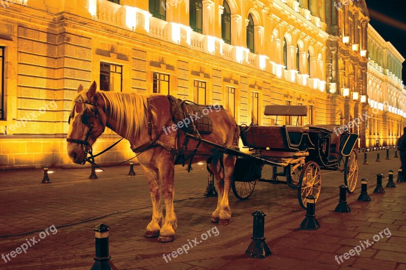 Quito Ecuador Horse Historic Centre Free Photos