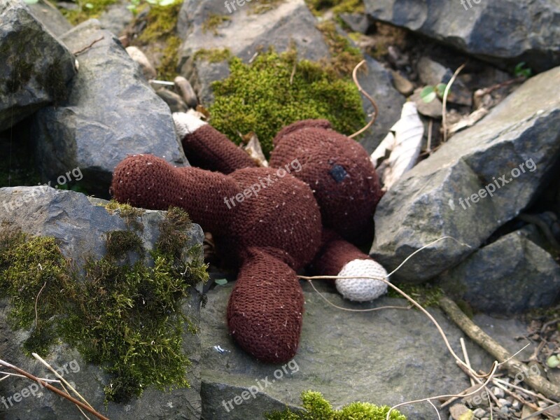 Teddy Teddy Bear Lost Thrown Away Sad