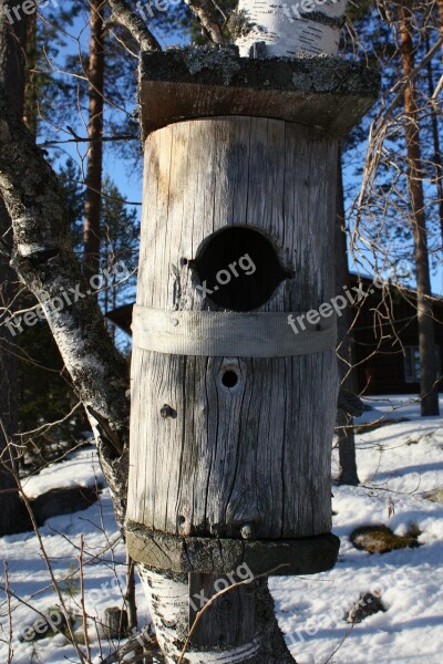 Birdhouse Nestbox Nature Photo Free Photos