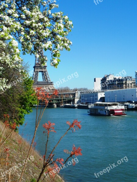 Paris Flowering France Monument Eiffel Tower