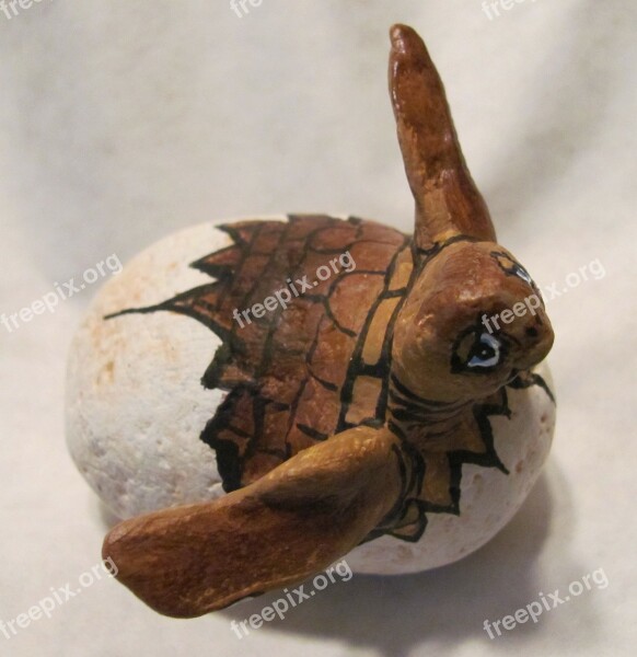 Turtle Painted Stones Loggerhead Loggerhead Turtle Craft