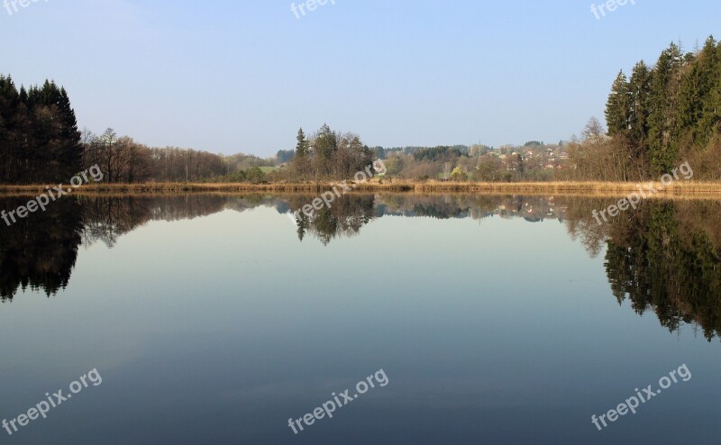 Mirroring Reflections Nature Trees Water