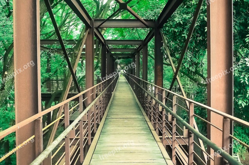 Youth Park São Paulo Brazil Bridge Free Photos