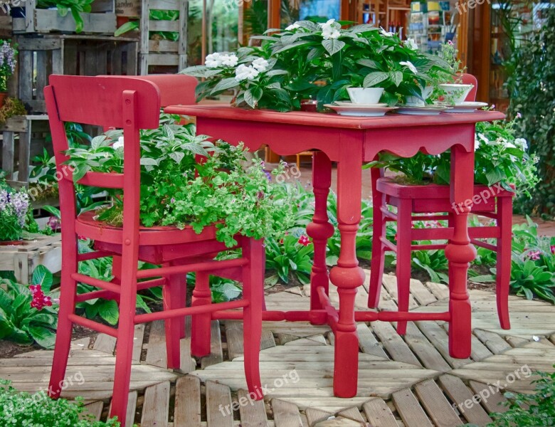 Chair Table Plant Cup Flowers