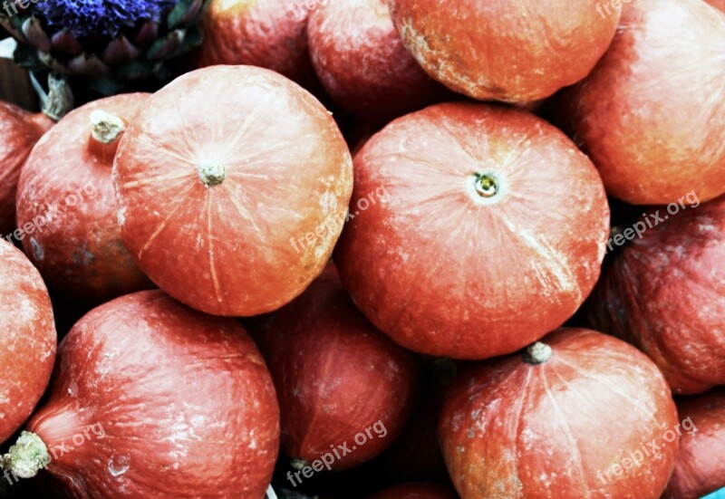 Pumpkins Round Vegetables Fruits Orange