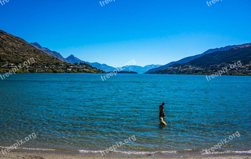 Peace Park Lake Wapatiku Queenstown New Zealand Dog