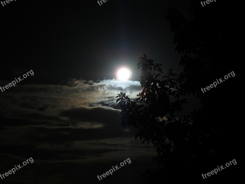 Moon Brightness Night Dark Free Photos