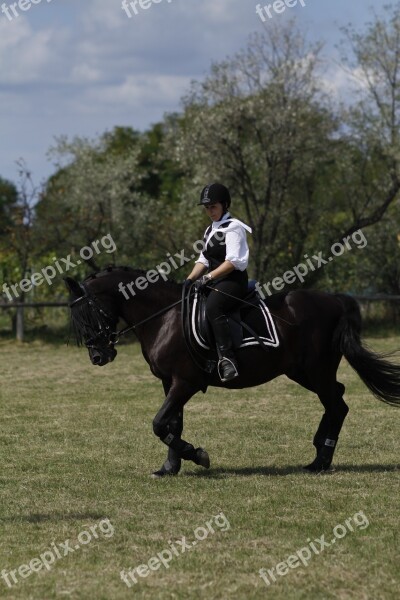 Ride Equestrian Dressage Woman Horse