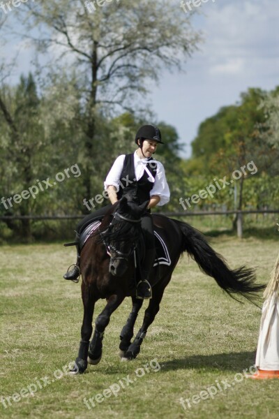 Ride Equestrian Dressage Woman Horse